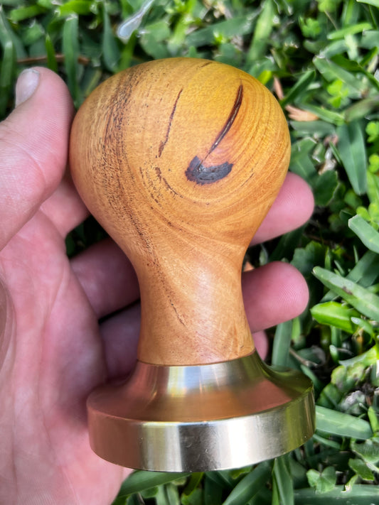 TMPR03 - 58.2mm Brass+Red Ash (Alphitonia excelsa)